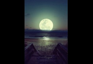 Bb.-LES-VOIES-DE-LA-LUNE