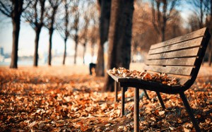 tumblr_ncsdx93YUr1u0tkllo1_500